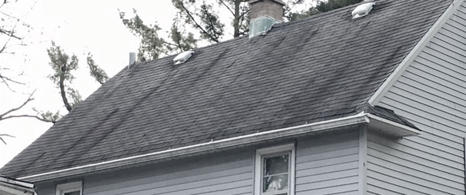 Roof Cleaning