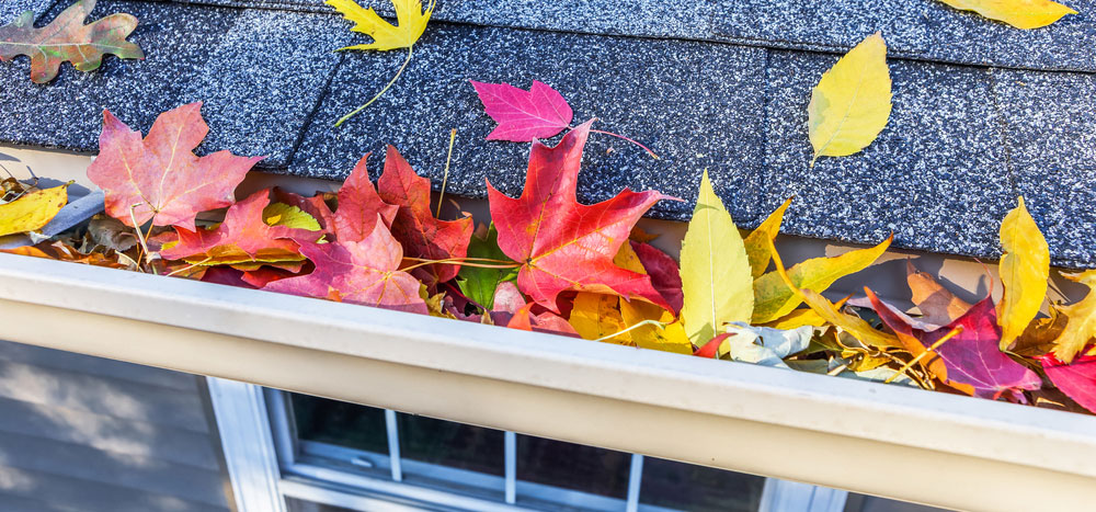 gutter cleaning near grand rapids, michigan